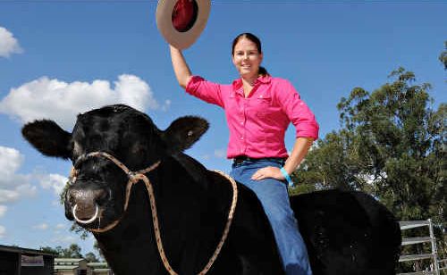 Shari Holdsworth on top of Cracker the 1000kg Angus bull at the Gympie Show. Cracker is owned by Shari’s partner Martin Nolan. Mr Nolan bred Cracker from a youngster and Shari says he’s as quiet as a mouse and she rides him around the paddock at home. Shari Holdsworth on top of Cracker the 1000kg Angus bull at the Gympie Show. Cracker is owned by Shari’s partner Martin Nolan. Mr Nolan bred Cracker from a youngster and Shari says he’s as quiet as a mouse and she rides him around the paddock at home.